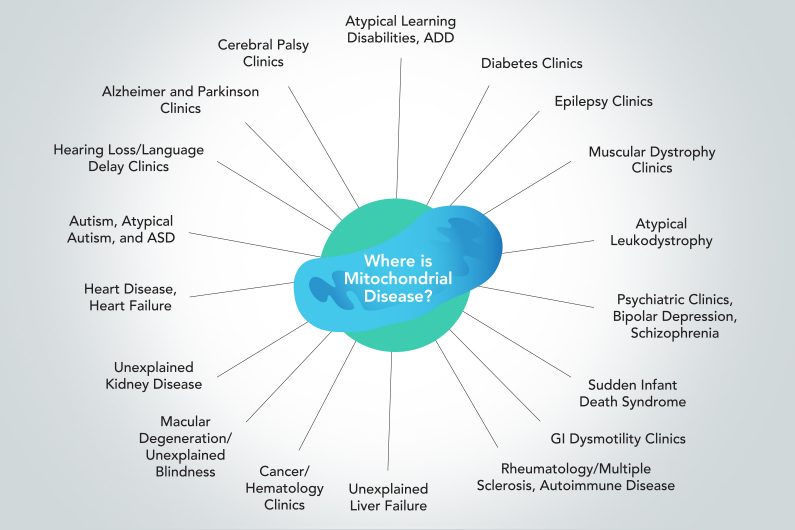 Mitochondrial Disease